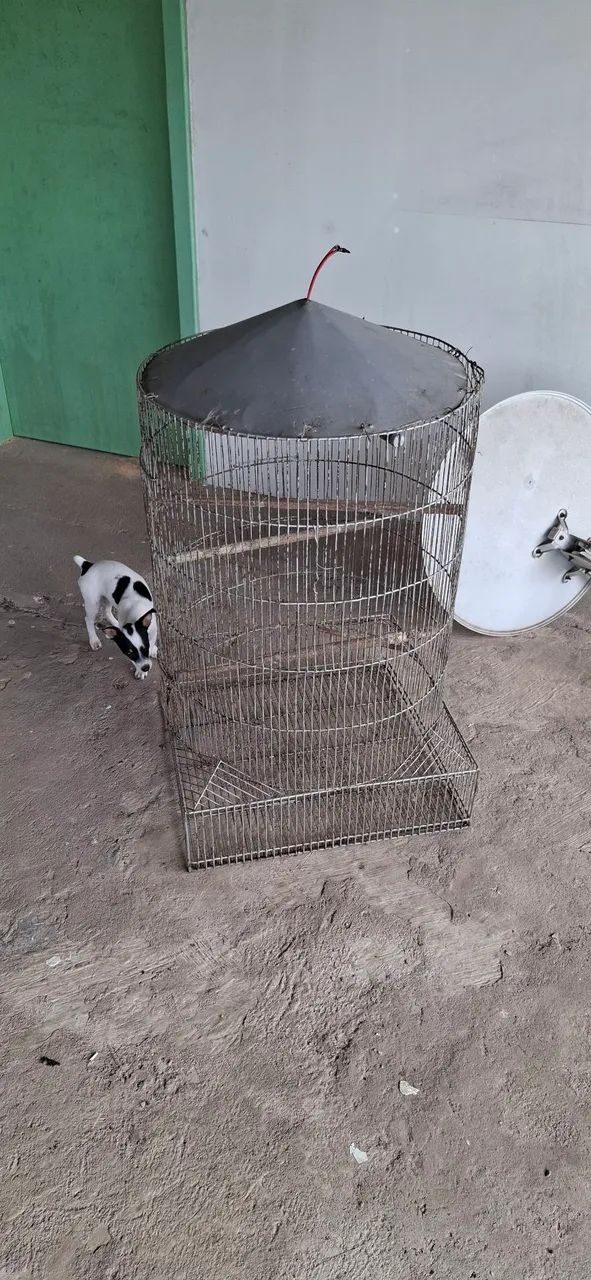 GAIOLA GRANDE PARA CALOPSITAS E KINGNECK  - Foto 3