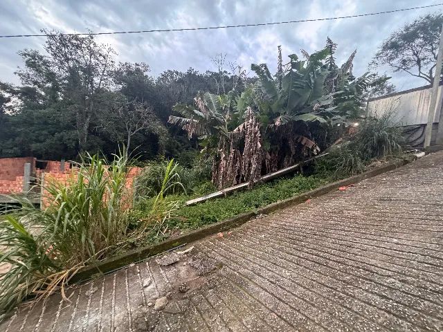 TERRENO 230M² VARGEM DO BOM JESUS - Foto 5