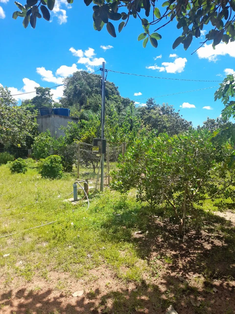 Chácara refugio da águia - Foto 5