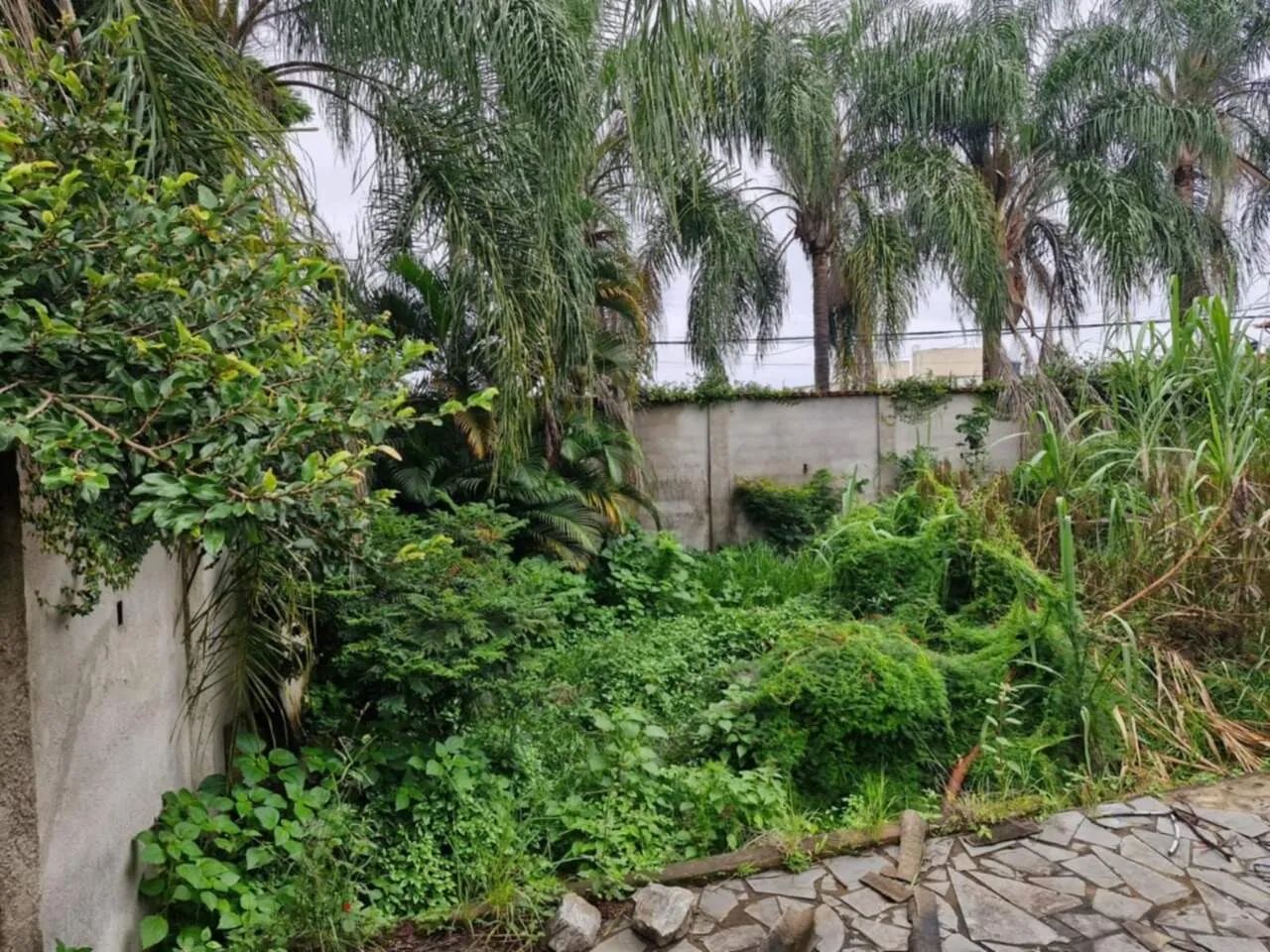 Lote À venda no Bairro Santa Rosa. - Foto 5