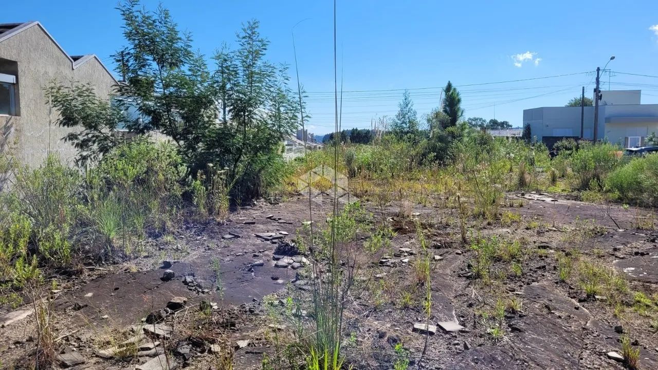 Terreno no Bairro Monte Verde - Foto 3