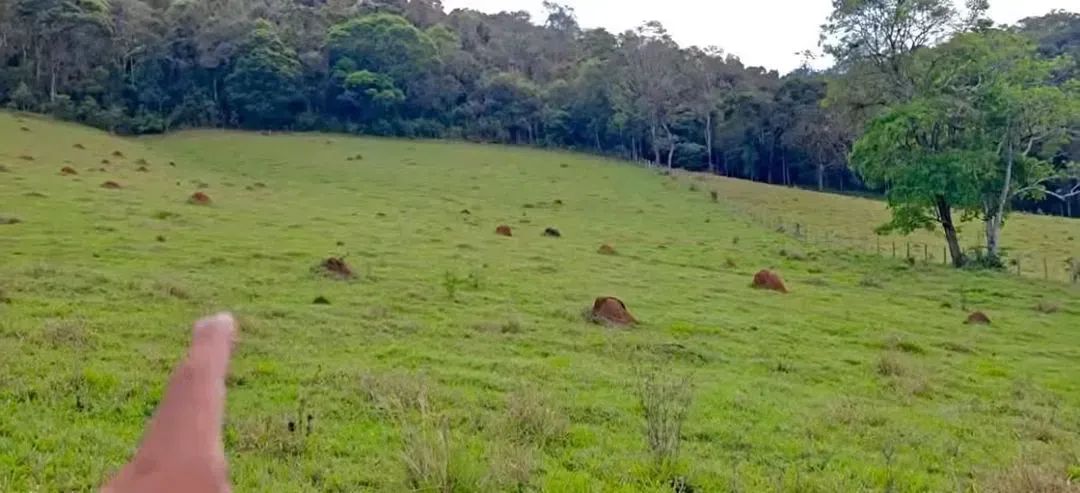Vale das Araucárias- Camanducaia - Foto 2