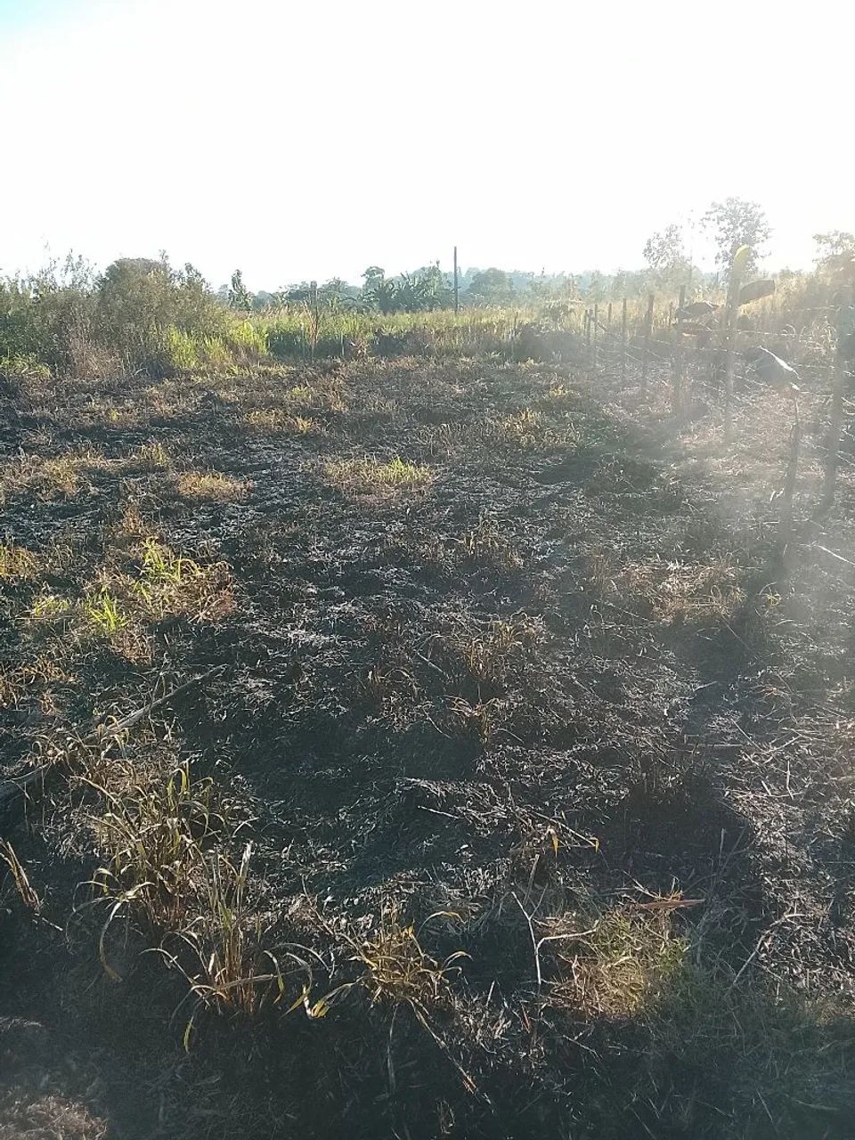Vendo Terreno no ramal Santa Rosa 