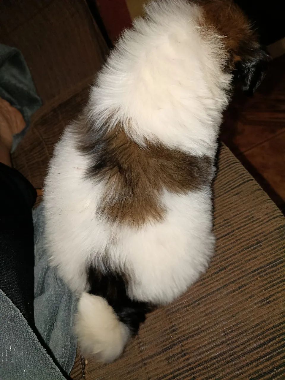 Vendo * - Foto 4