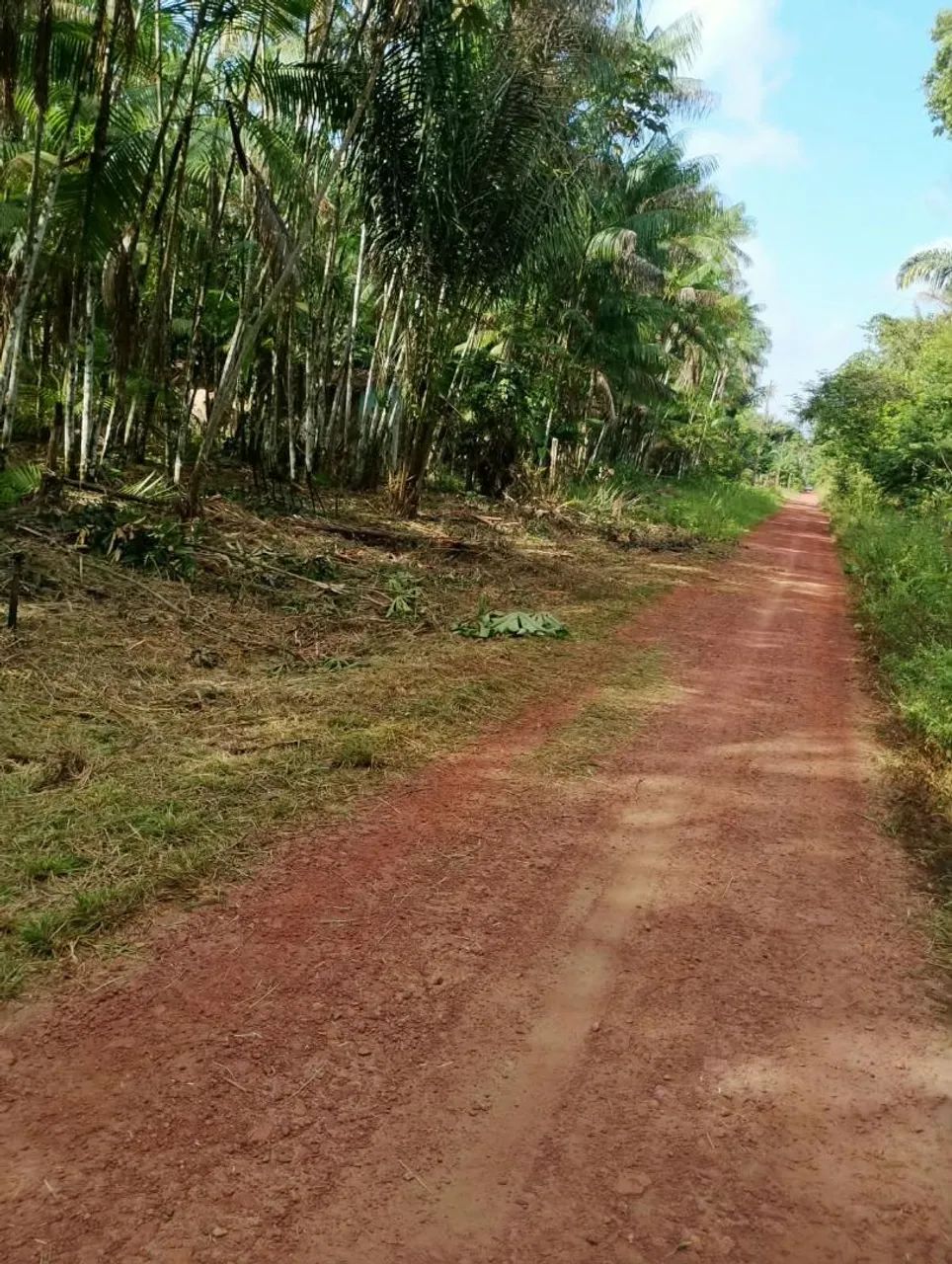 Terreno em Abaetetuba 20x36mt