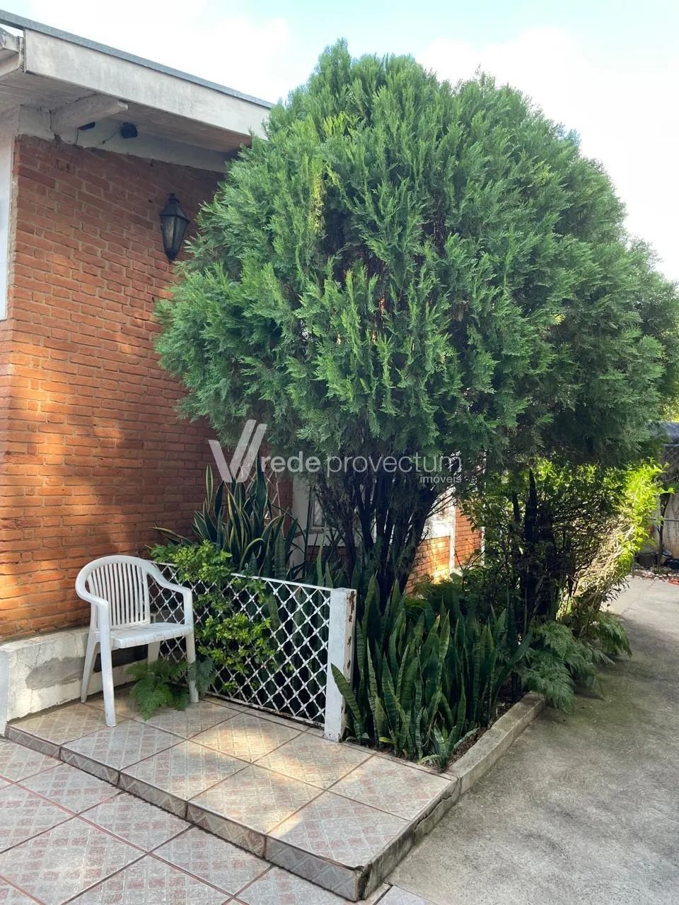 casa - Parque São Quirino - Campinas - Foto 3