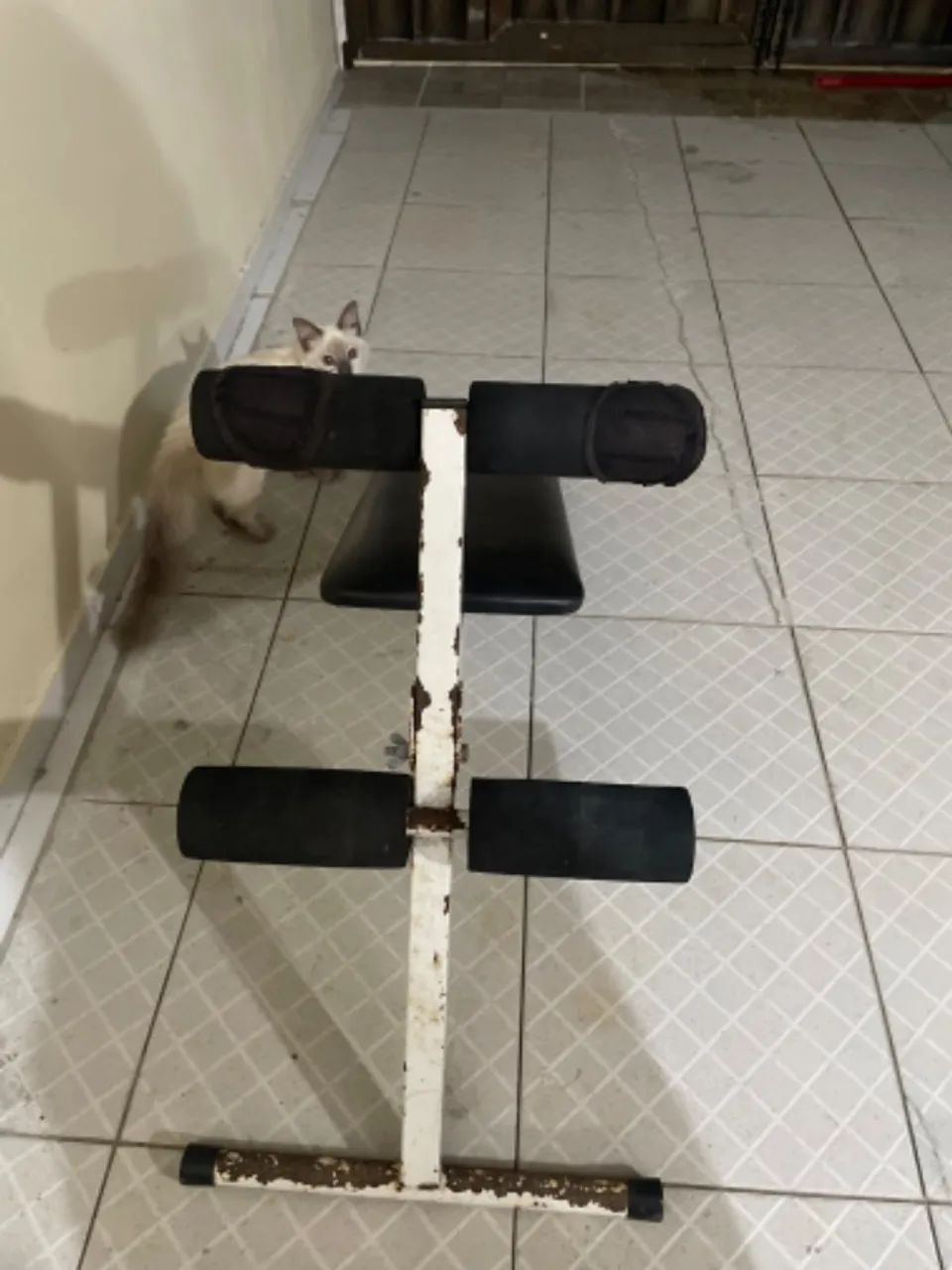 Vendo aparelho de abdominal usado - Foto 2