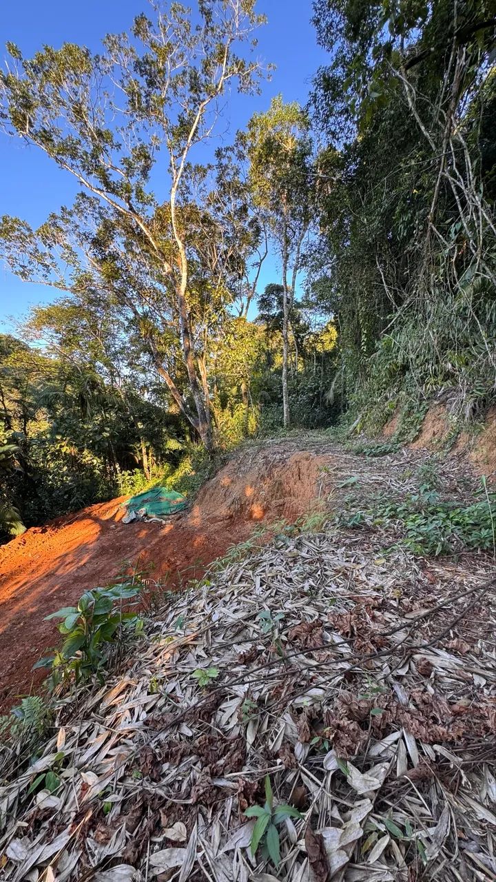 Sítio de 2 alqueires a venda - Foto 3