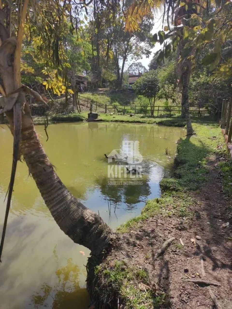 Sítio com 3 quartos à venda, 5450 m² por R$ 1.100.000 - Foto 14