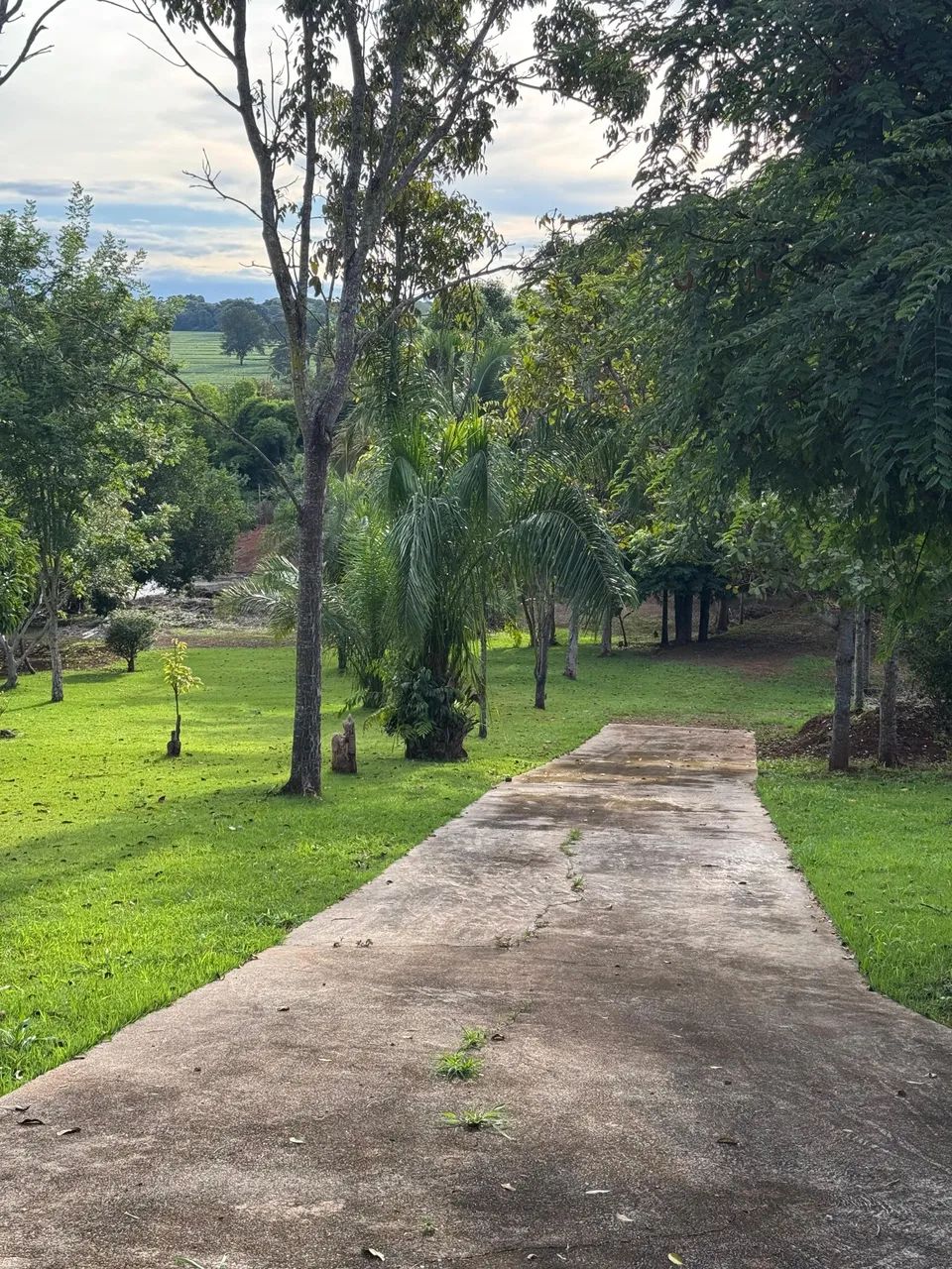 Chácara - Condomínio Ribeirão da Cachoeira - Foto 2