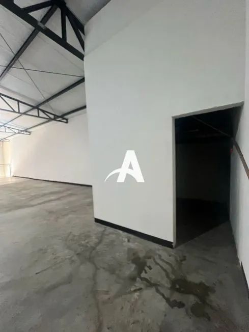 Aluguel Galpão ALTO UMUARAMA - Foto 4