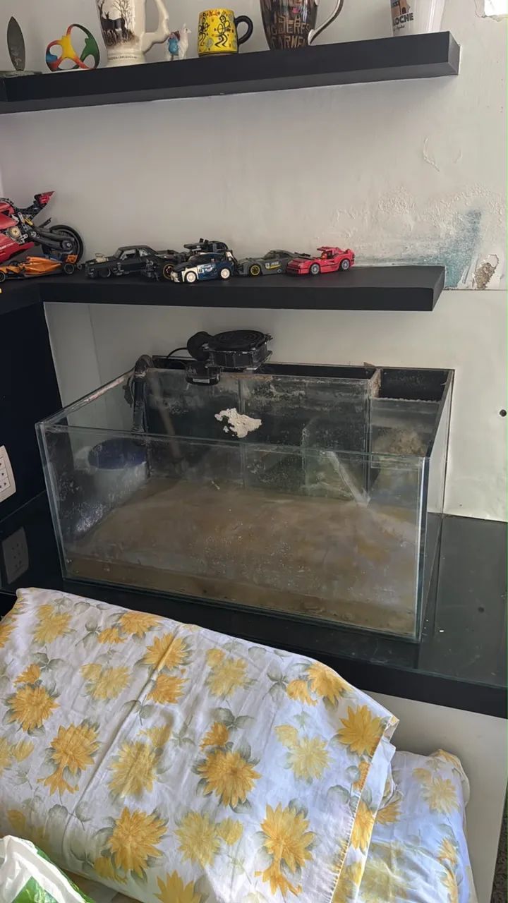 Aquário  - Foto 4