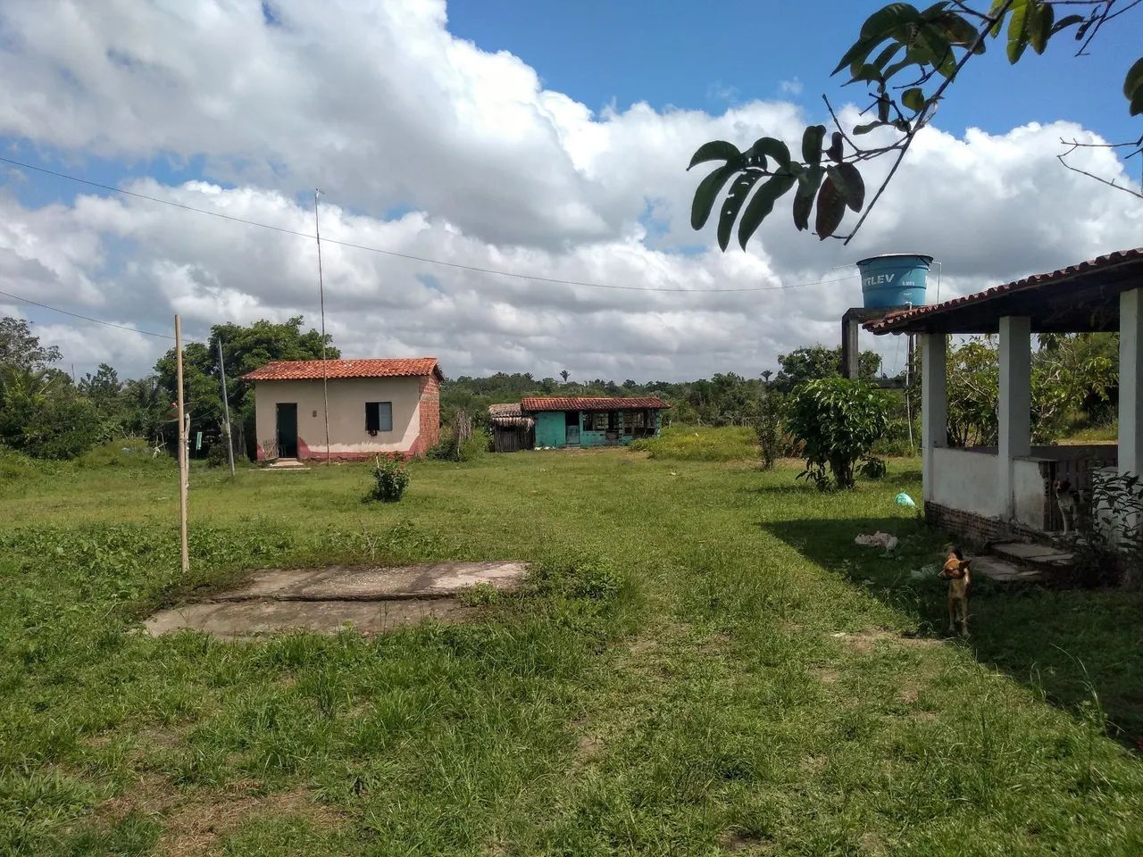 VENDO SITIO EM SANTA RITA-MA - Foto 4