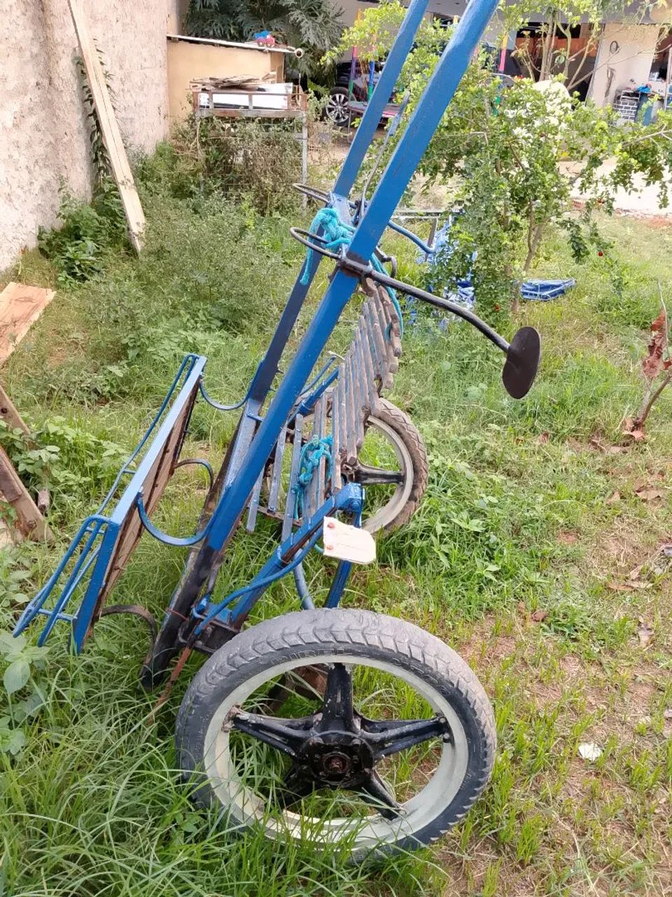 Égua prenha + charretinha  - Foto 5