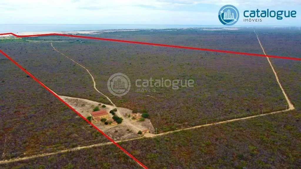 Fazenda em Caíçara do Norte 552 Ha - Foto 5