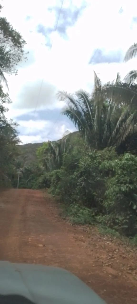 Propriedade rural à venda - Foto 4