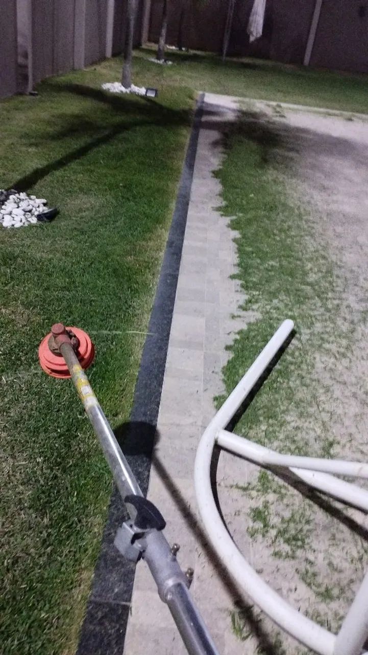 Jardinagem  - Foto 3