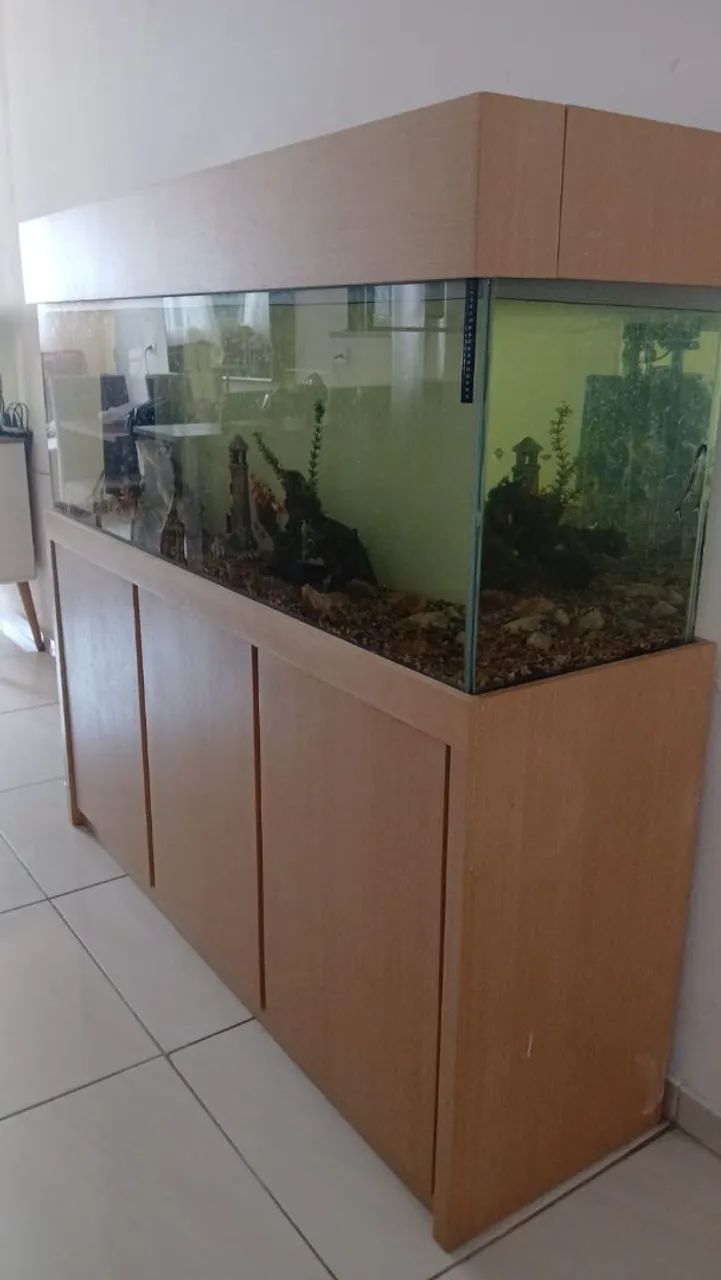 Aquário  - Foto 2