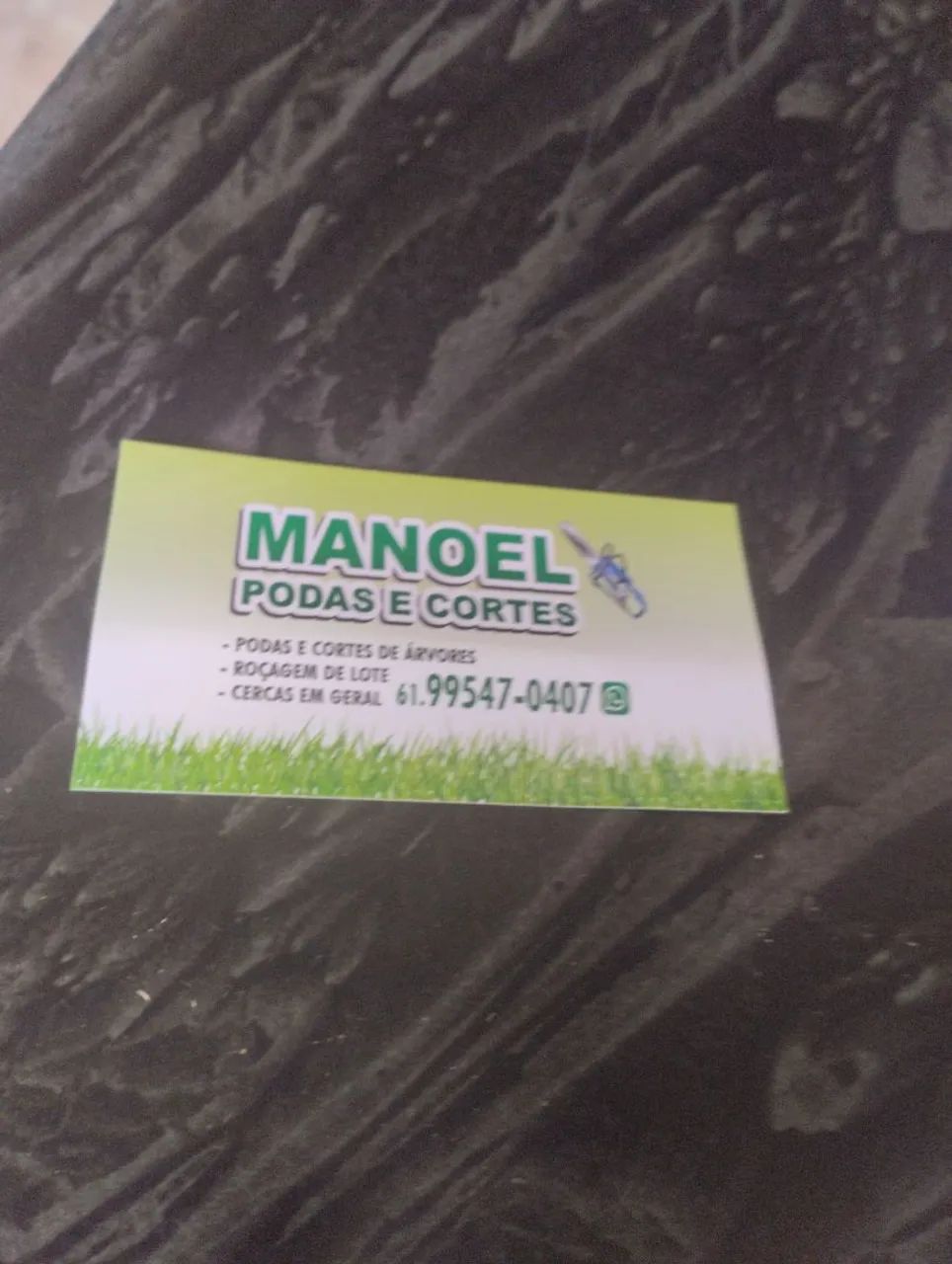 Serviço de Podas de Árvores 
