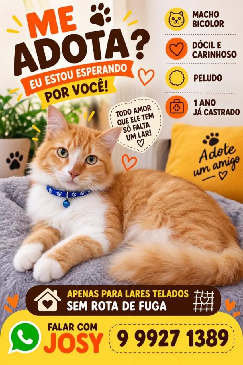 Adoção pra gato 