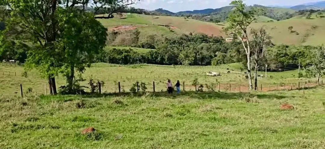 Vale das Araucárias- Camanducaia - Foto 4