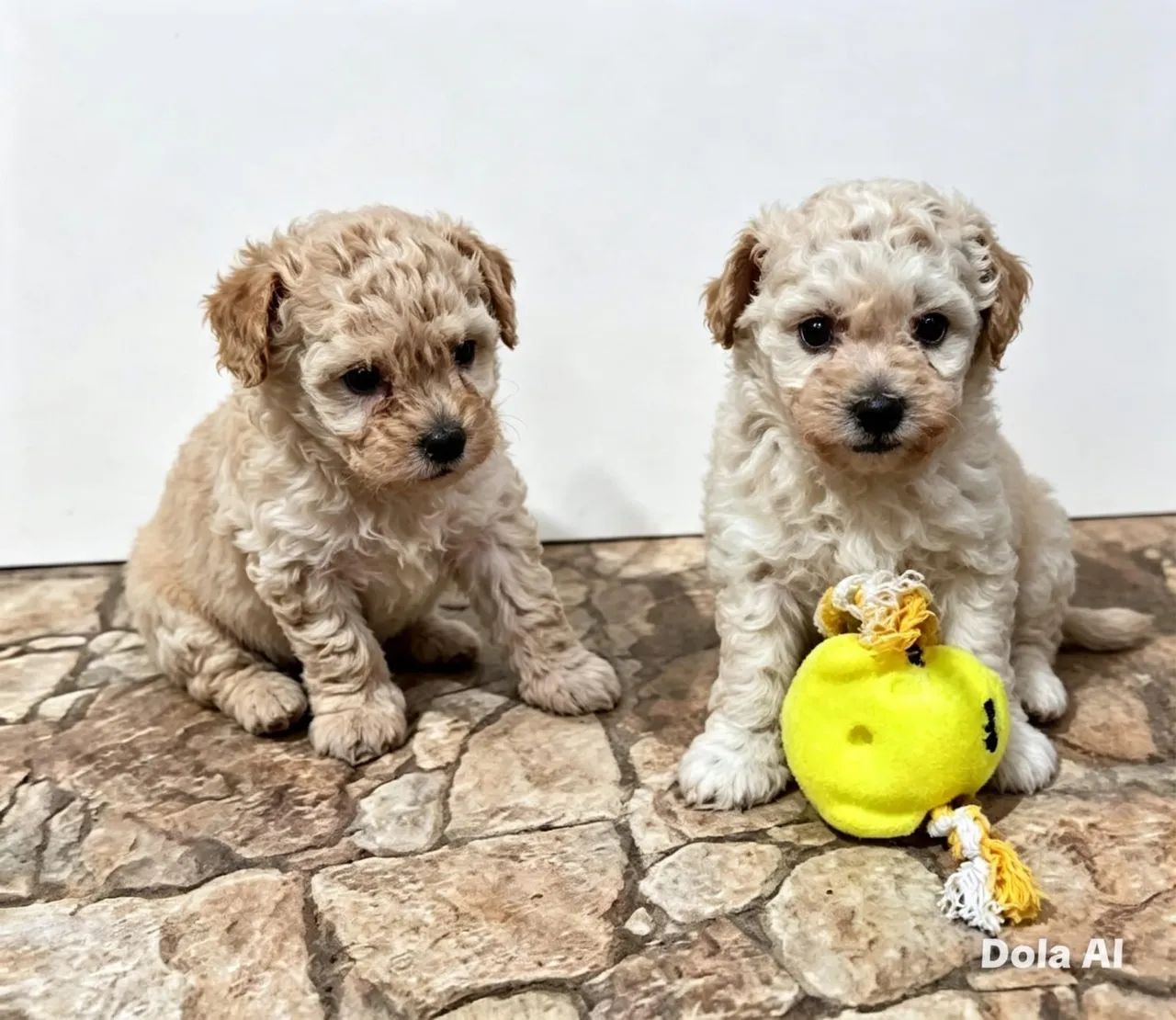 Poodle micro toy