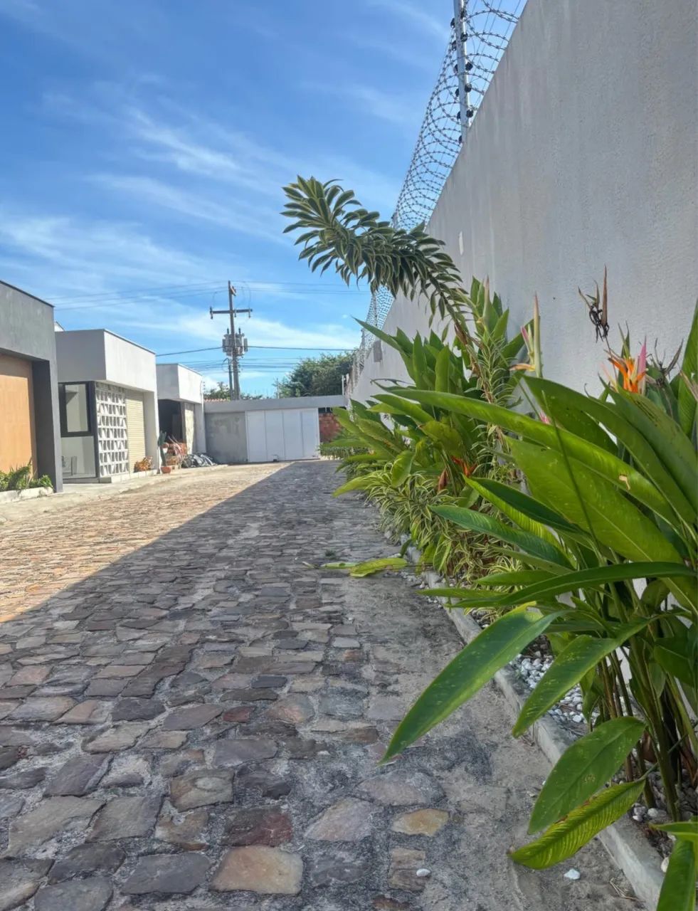 IC vendo casa em Maria Ortiz  - Foto 2