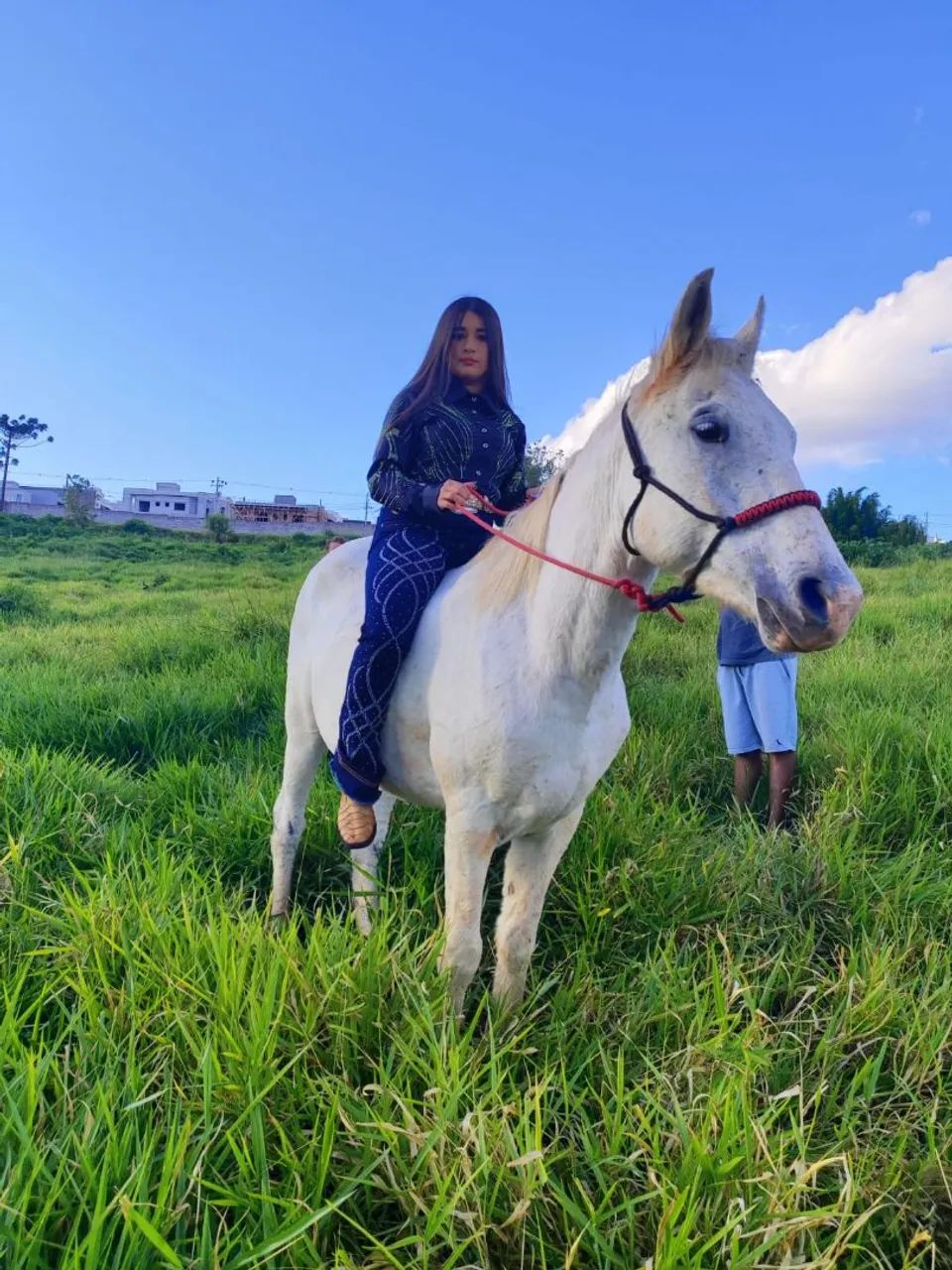 Vende-se cavalo  - Foto 2