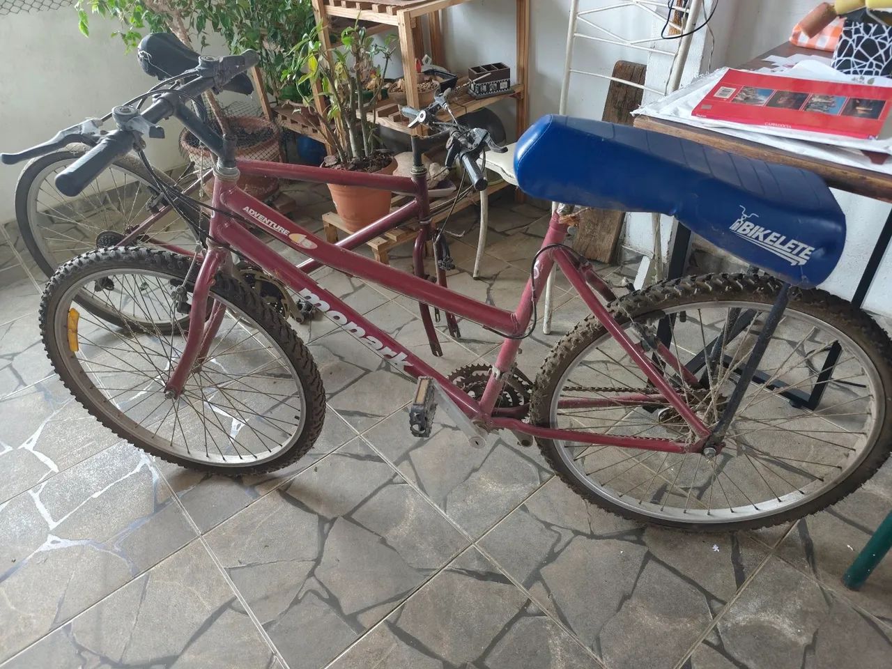 Bicicleta 