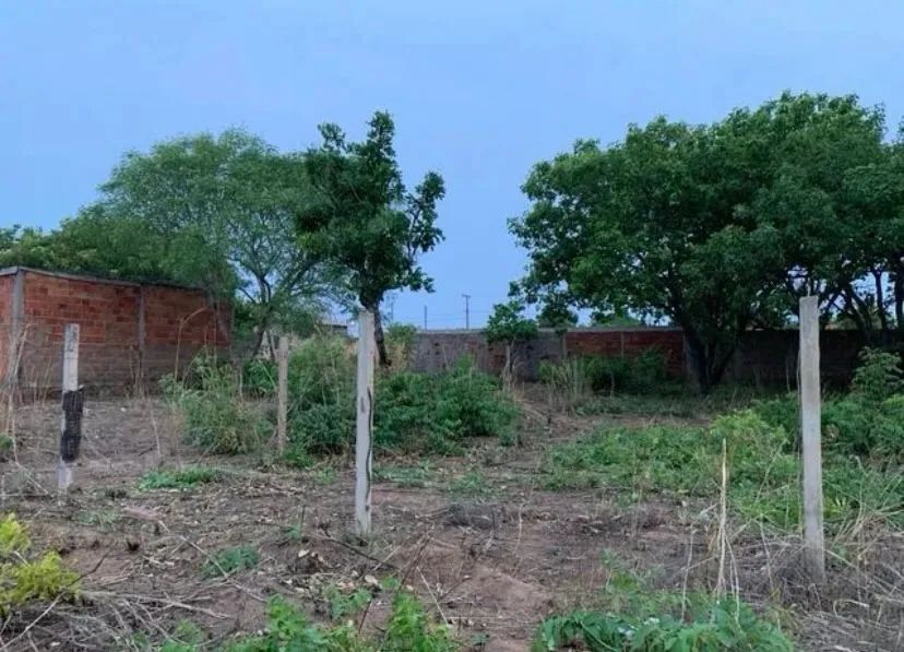 Lote 325 m2 13x23m - Foto 4