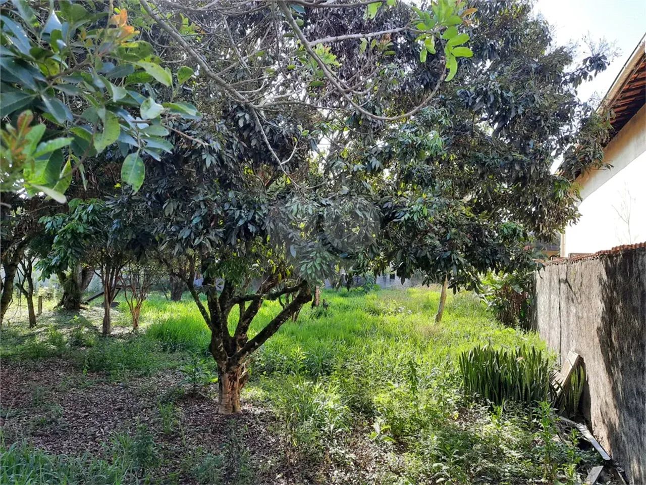 Terreno à venda em Interlagos - SP - Foto 2