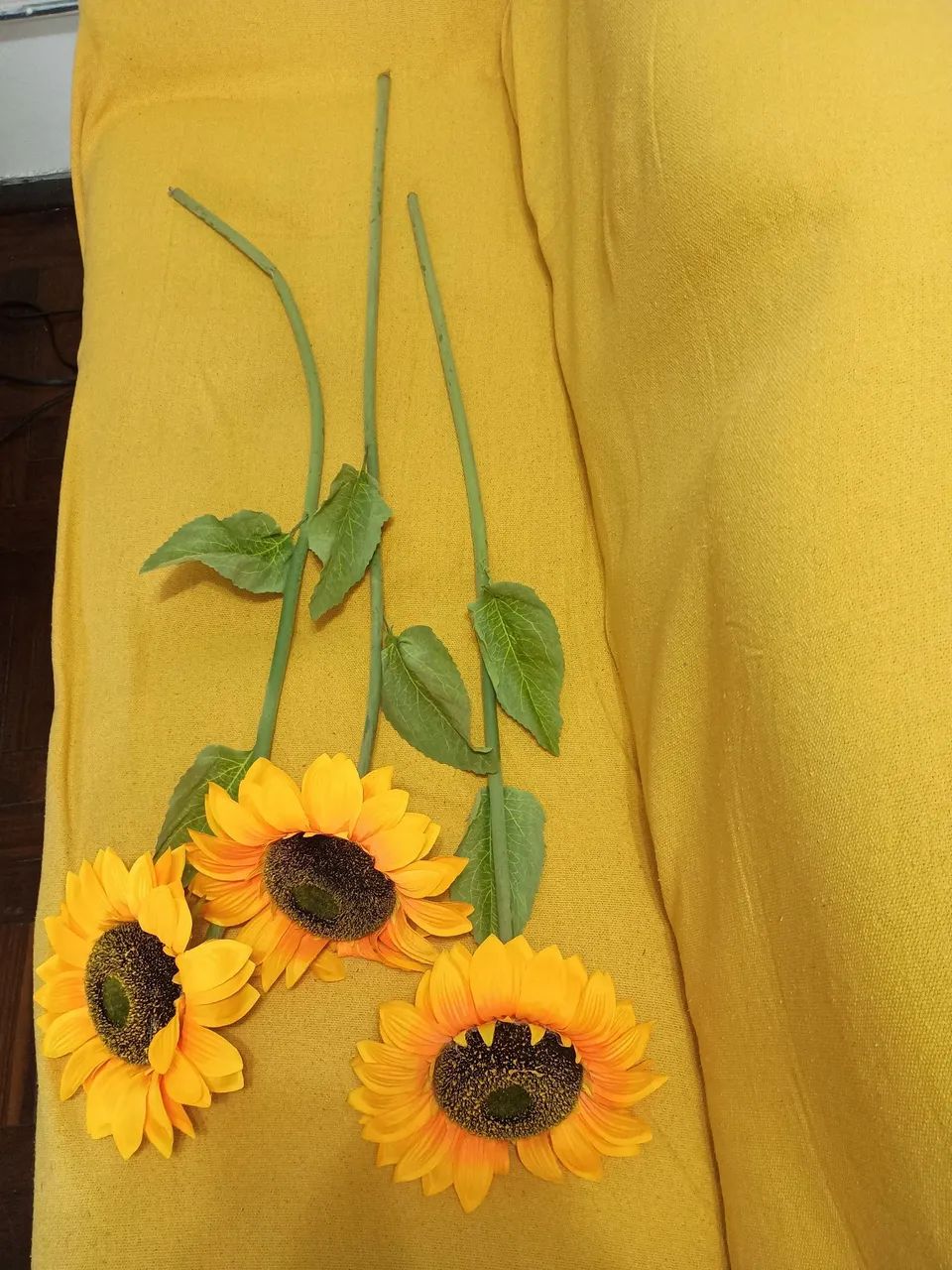 Hastes de Girasol