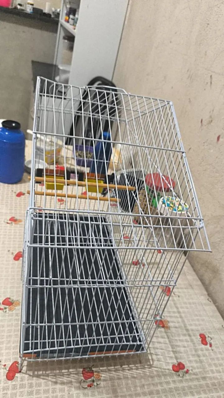 Gaiola para pequenas aves  - Foto 2