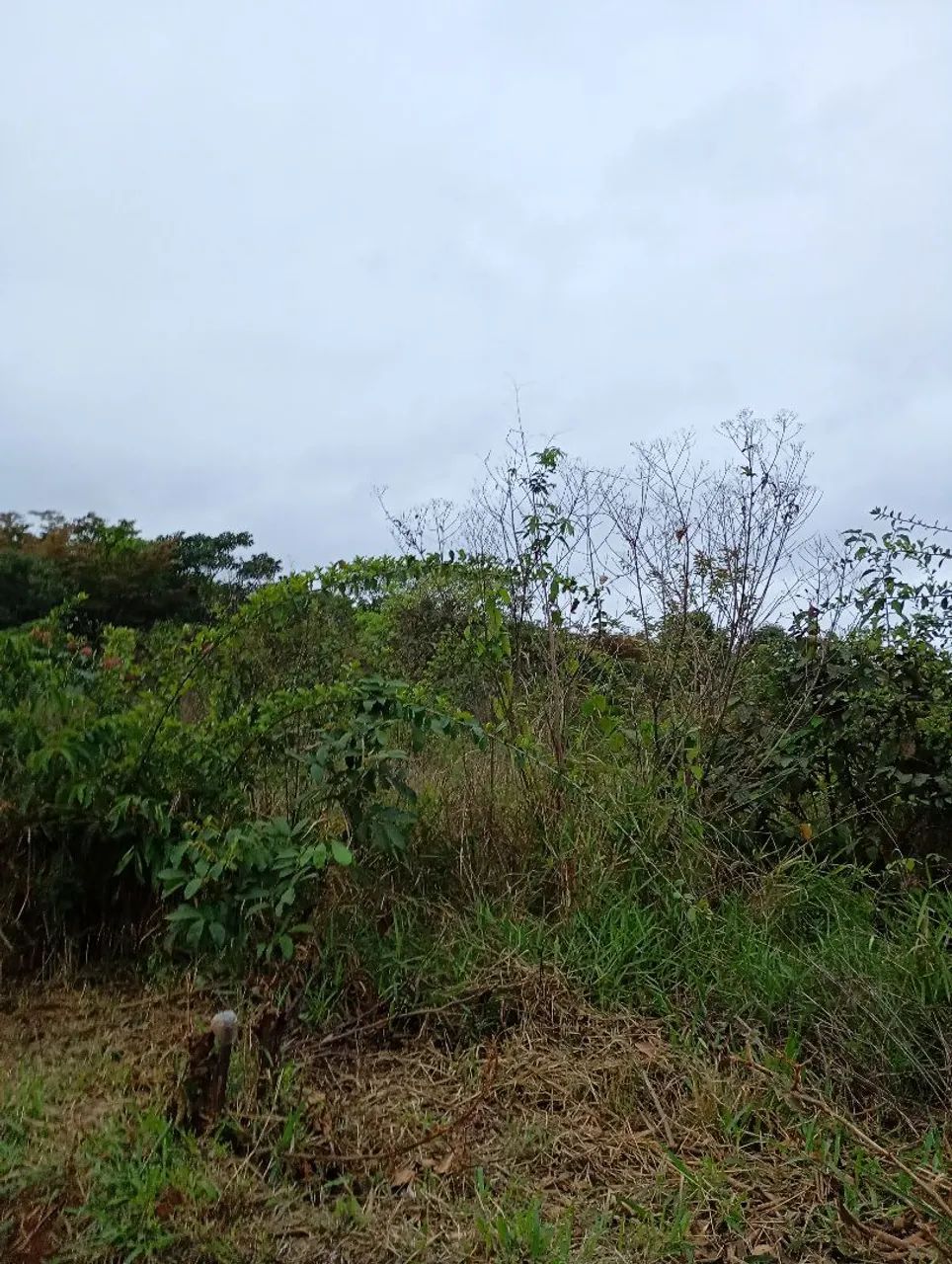 Chacreamento água boa  - Foto 4