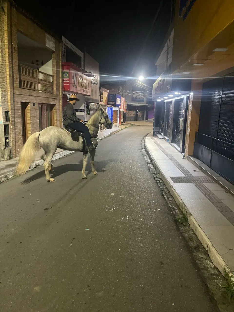 Cavalo  - Foto 2