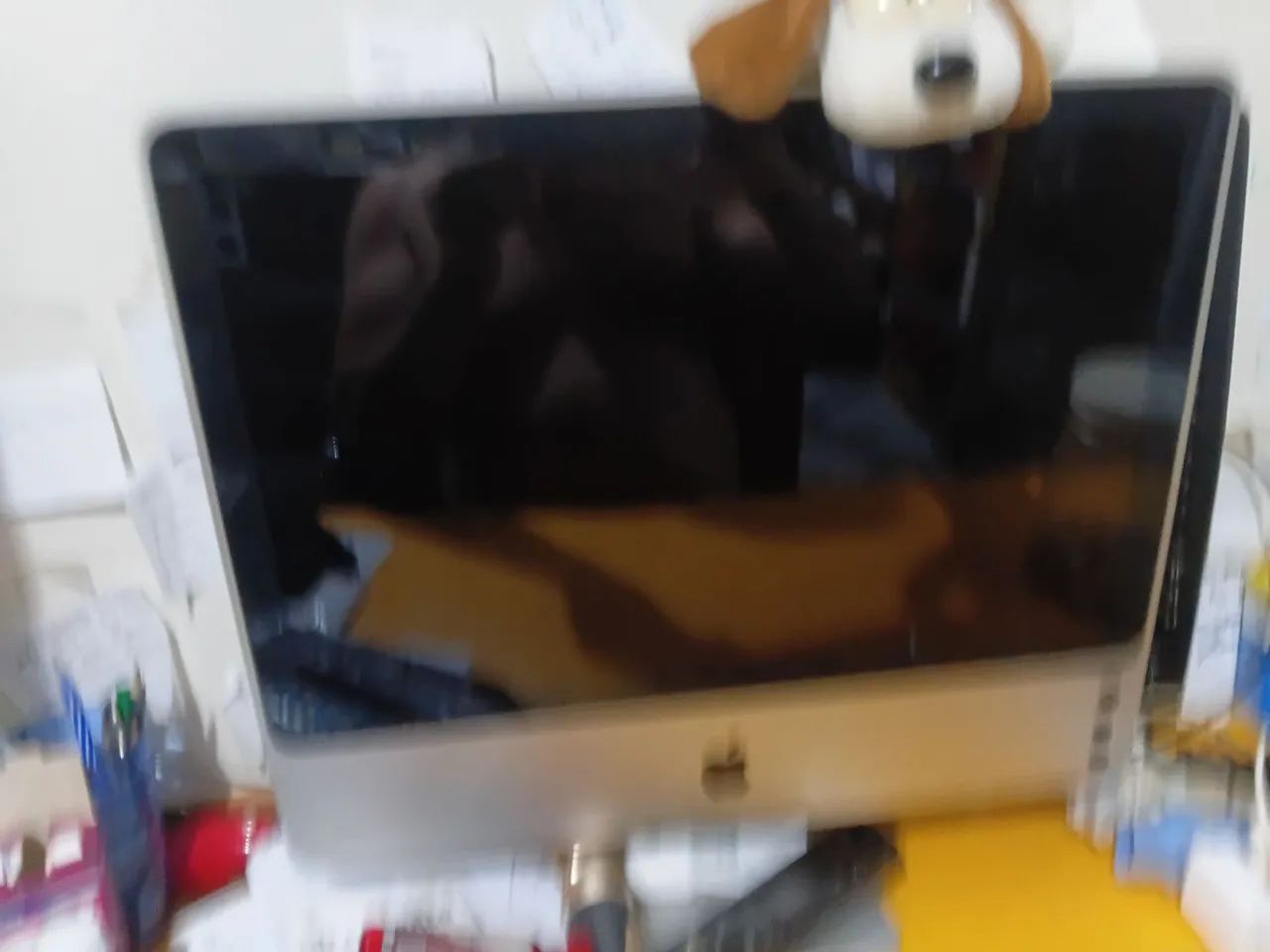 Aplle - Foto 2