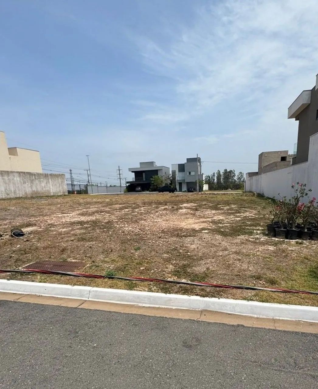 LOTE GINCO PRIMOR DAS TORRES  - Foto 4