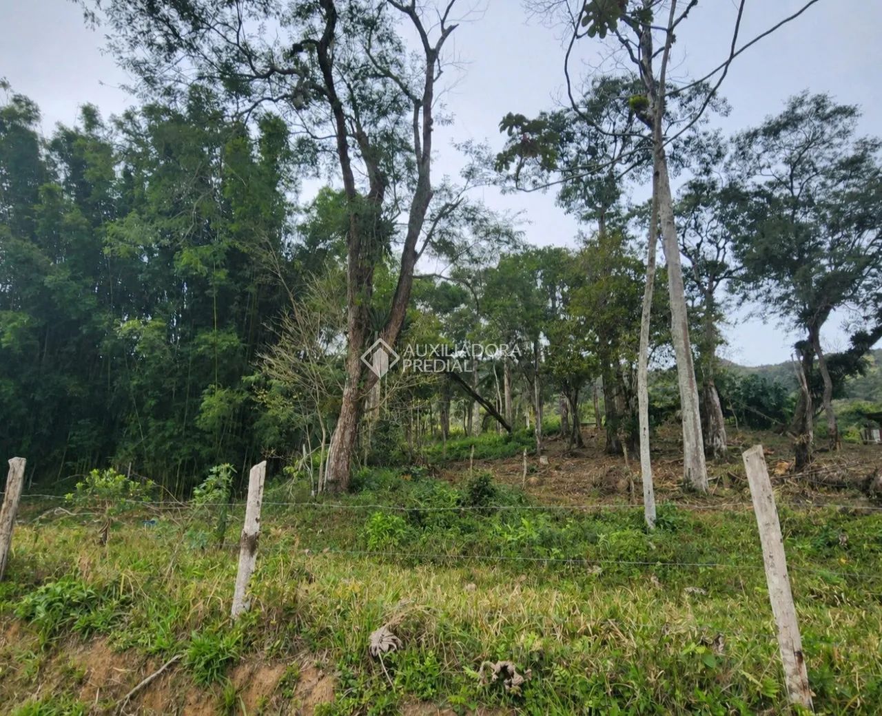 Área com 7 hectares à venda em Paulo Lopes/SC - Foto 2
