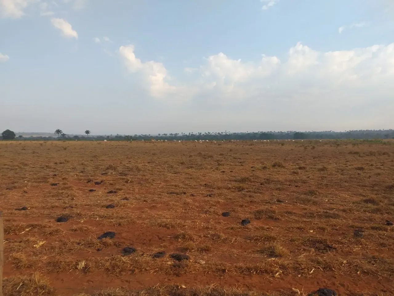 Fazenda a venda em  - Goiatins - Tocantins