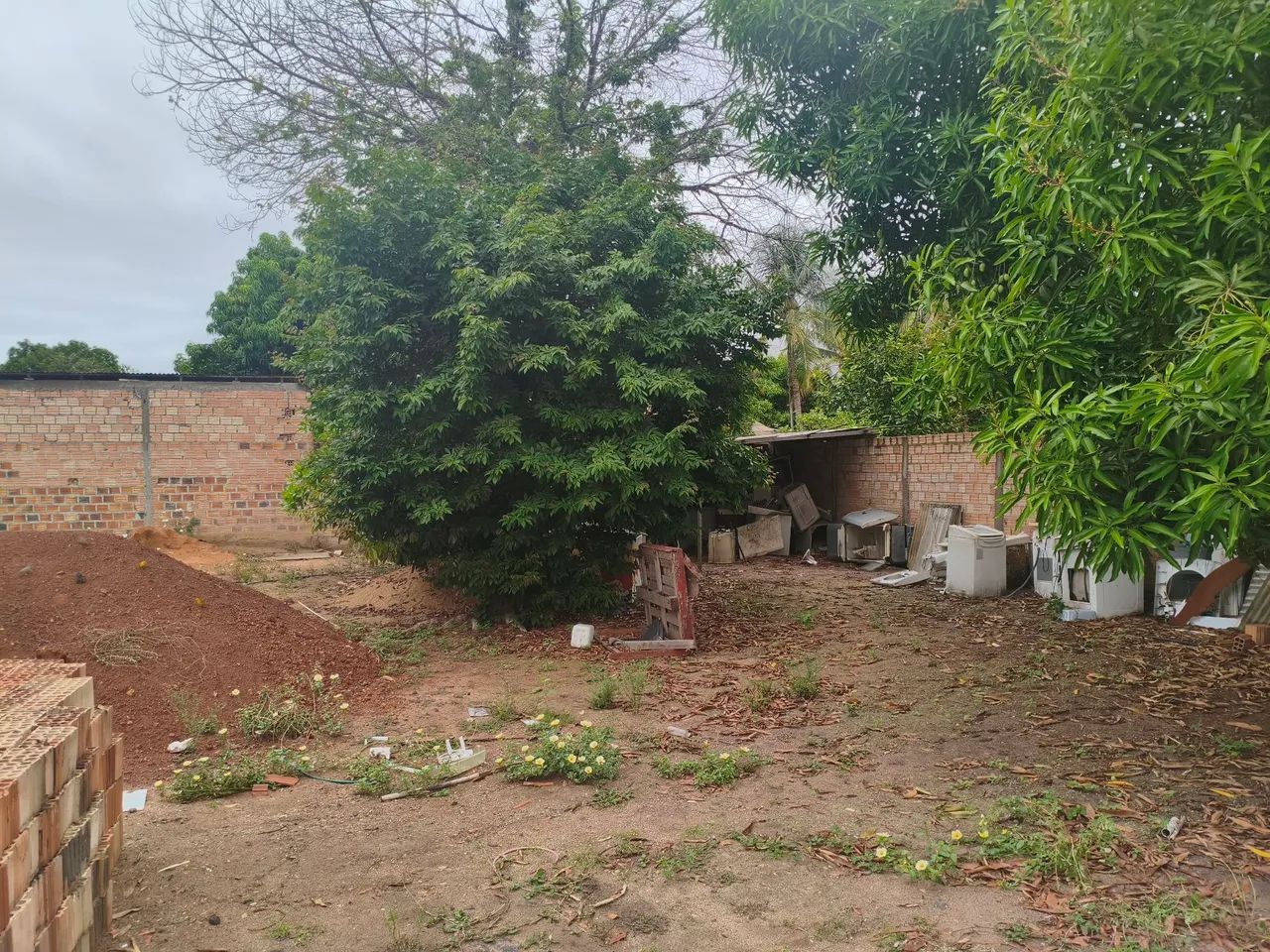 Terreno senador Hélio Campos 