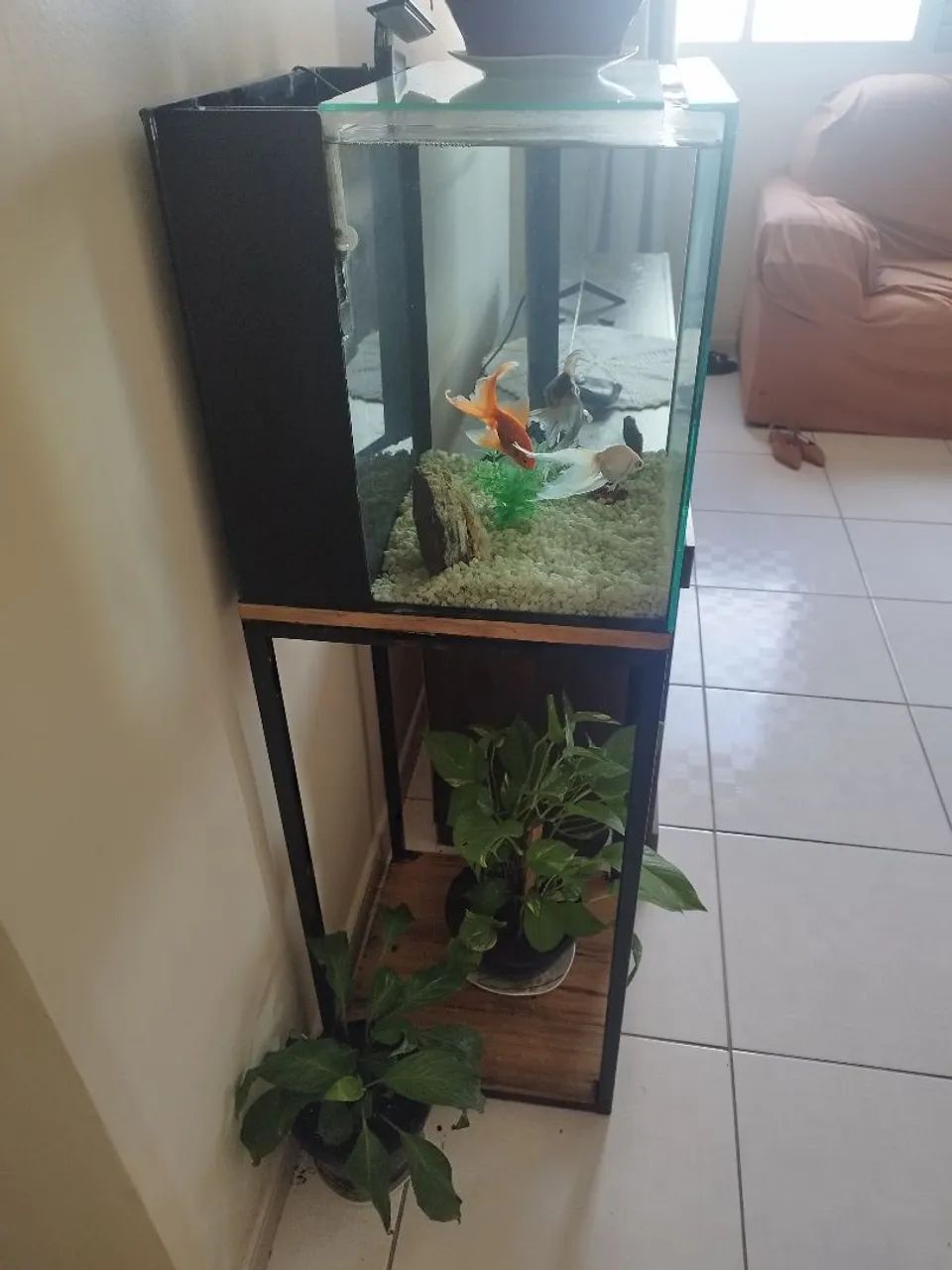 Aquário  - Foto 2