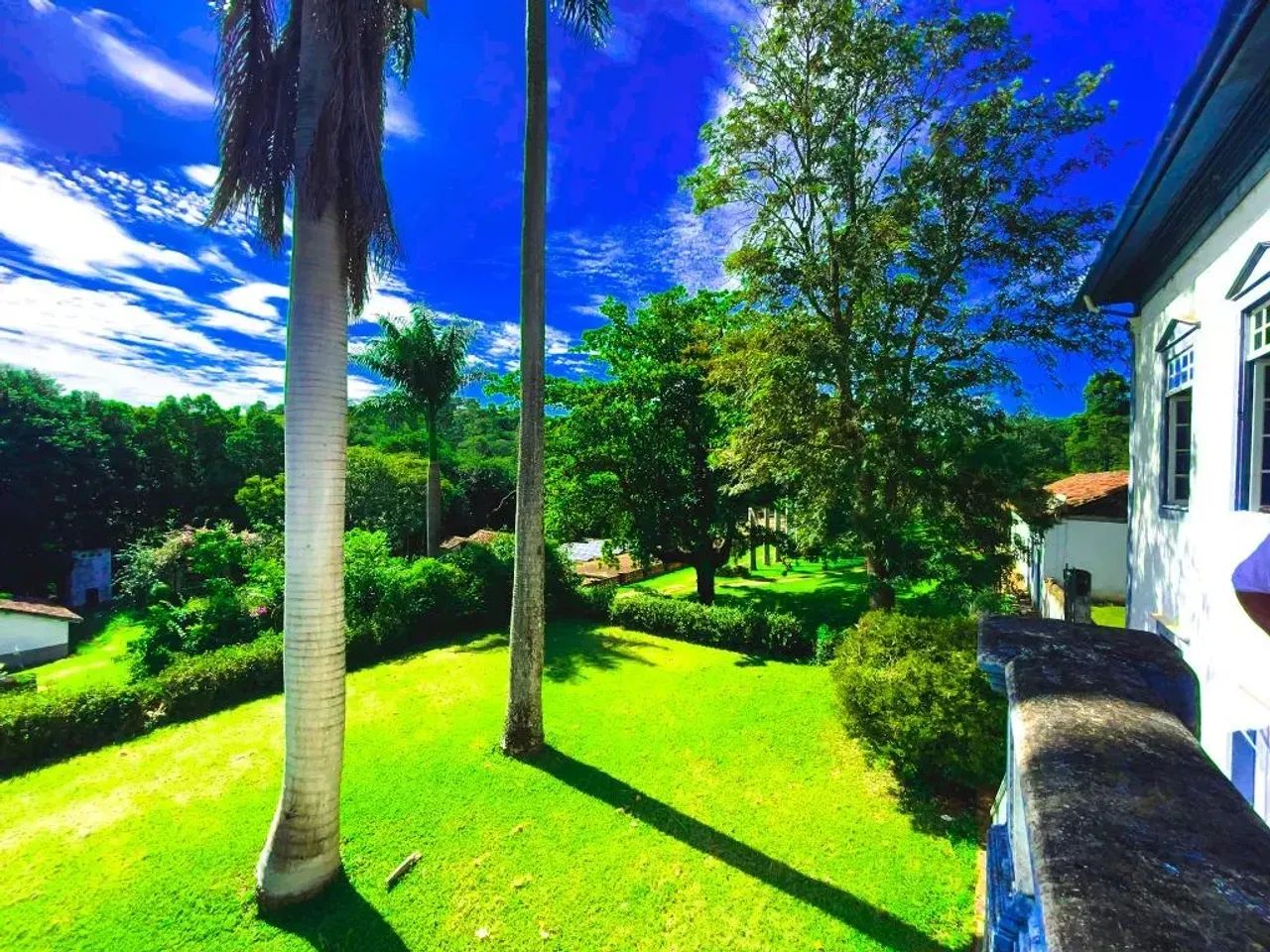 Fazenda a Venda em Amparo - SP - Foto 5