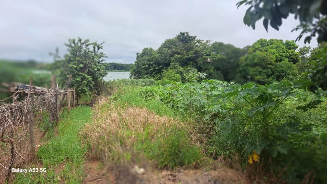 Terreno tipo chácara na entrada da cidade de Sabino - SP e - Foto 2