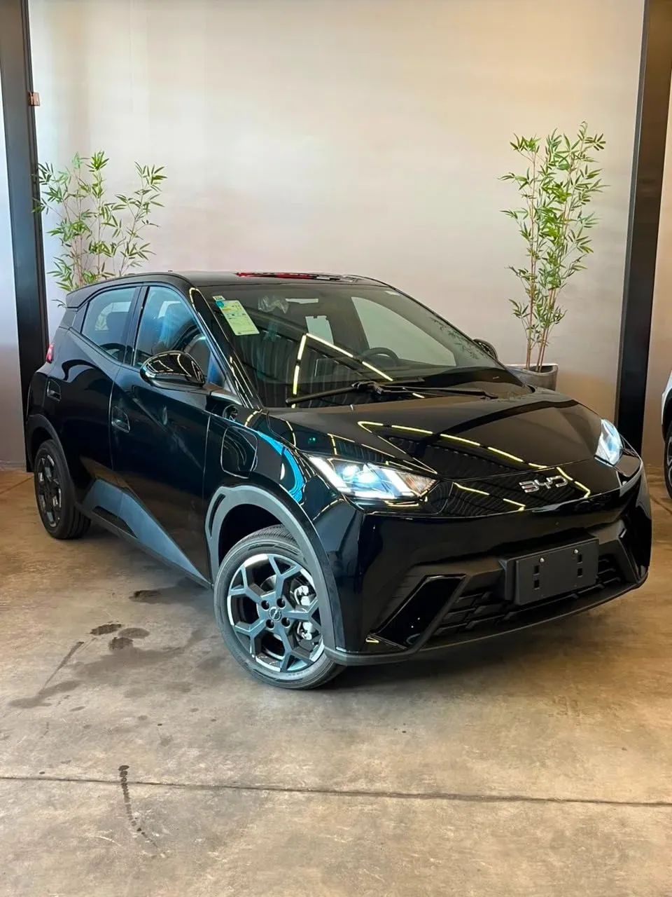 BYD Dolphin GS (Elétrico) 2027 - Foto 3