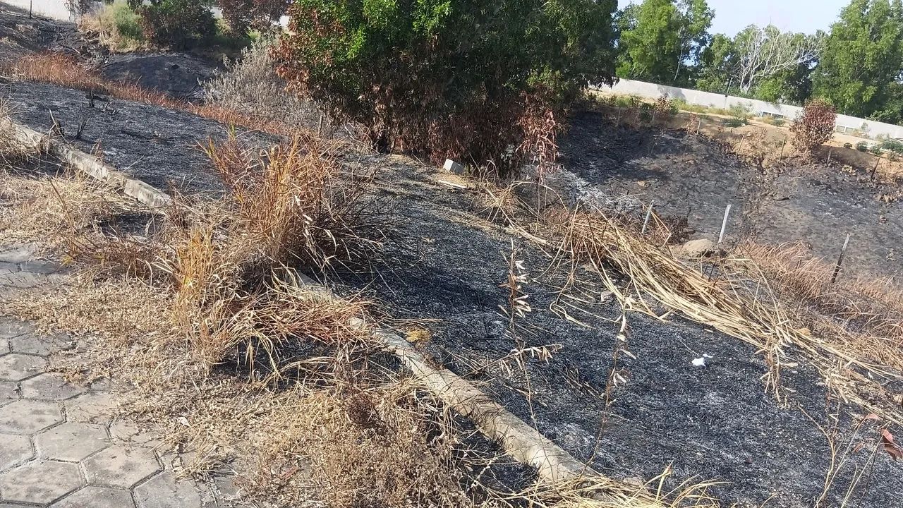 Terreno  lote  - Foto 5