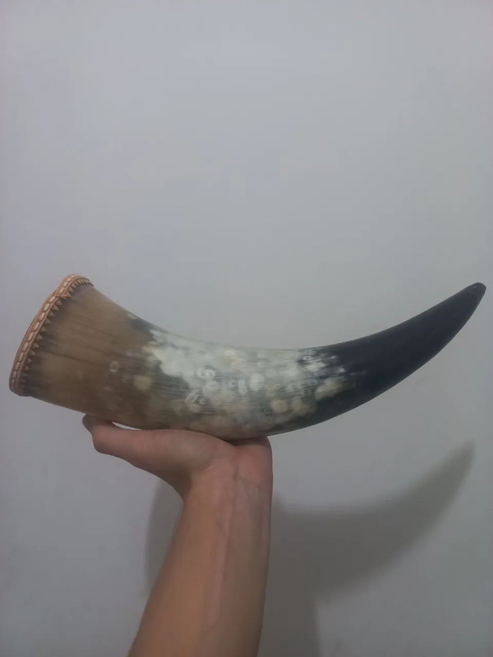 Chifre de boi