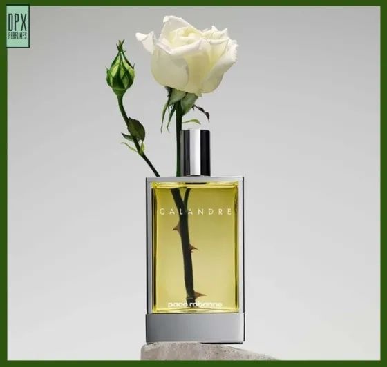 Perfume Calandre 100ml EDT (Original, Adipec!)