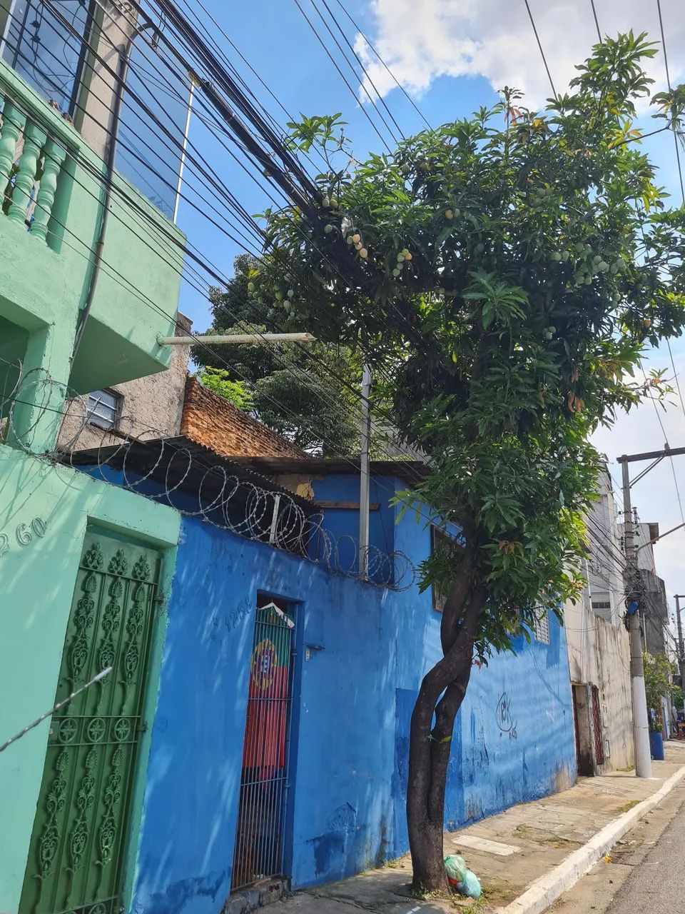 Foto - São Paulo - Engenheiro Goulart