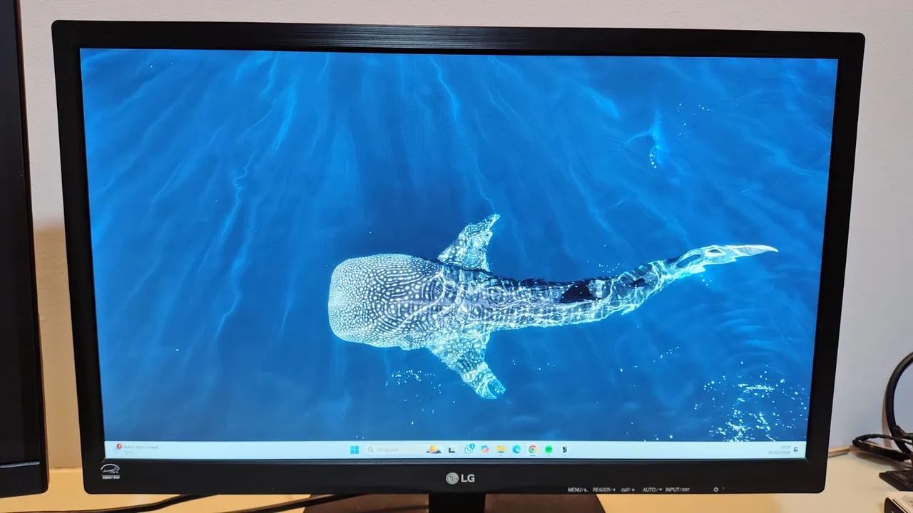 Monitor LG Led 21?5 Widescreen