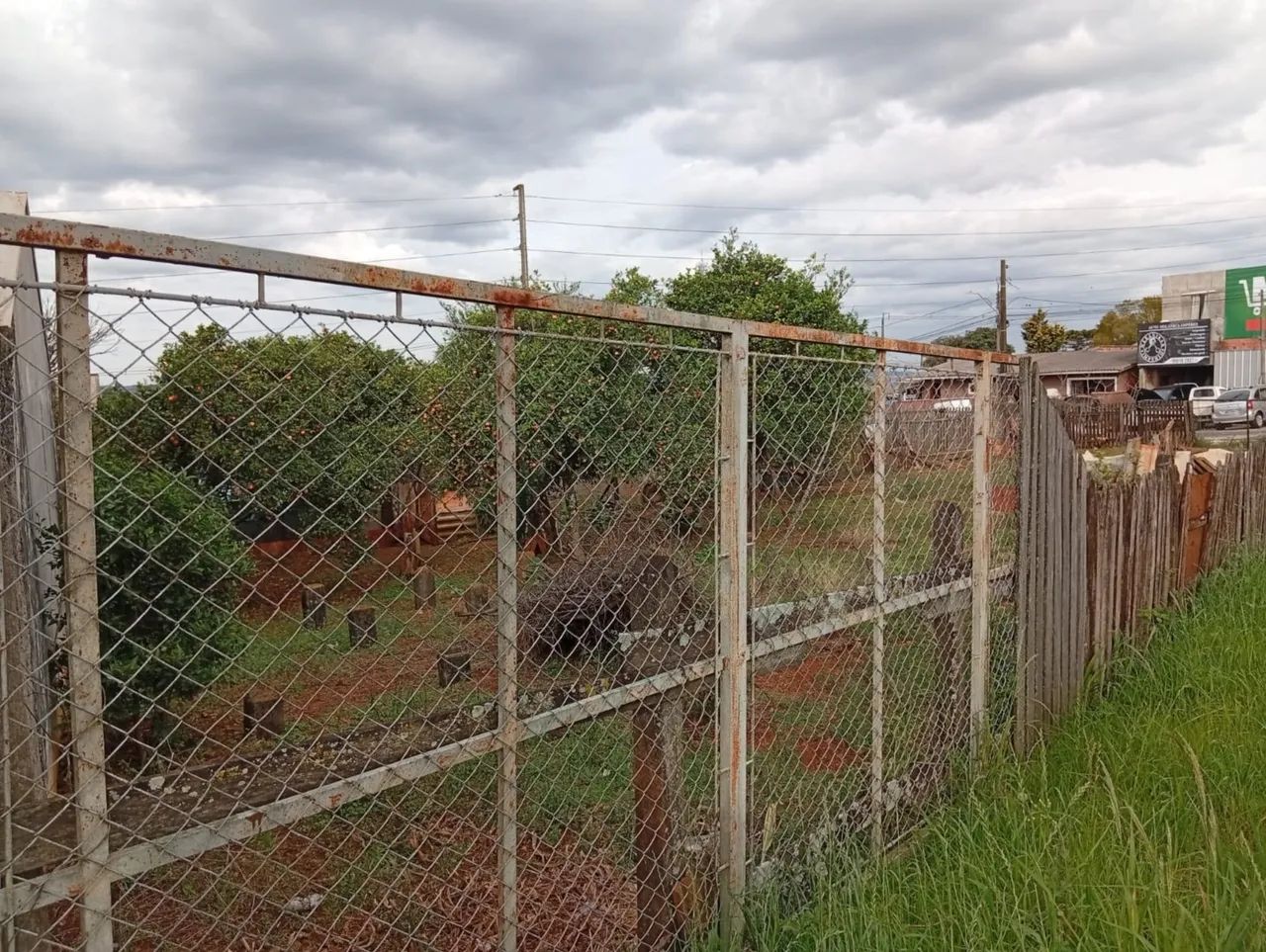 TERRENO À VENDA EM UVARAMAS - Foto 5